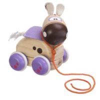 Chicco Gioco Cavallino Trainabile Linea Wood