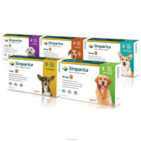 Simparica compresse masticabili antipulci e zecche per cani